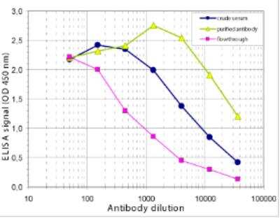 ELISA: Histone H3 [ac Lys9] Antibody [NBP2-59180]